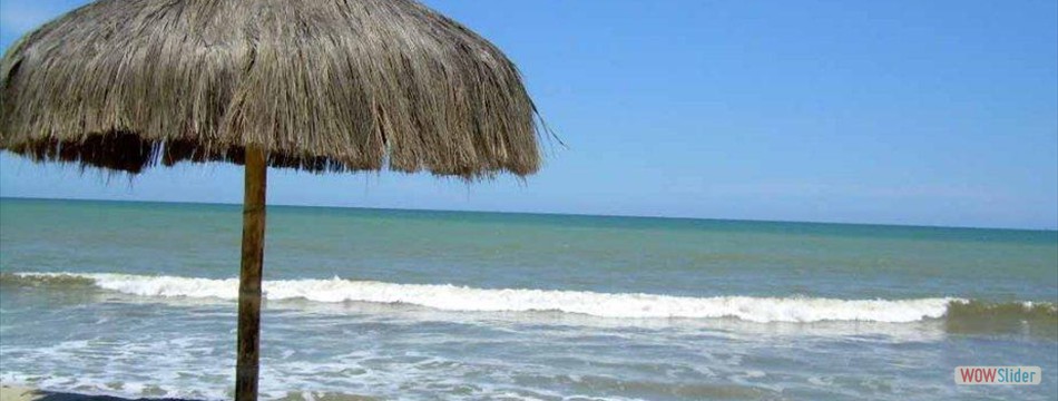 Playa de Zorritos